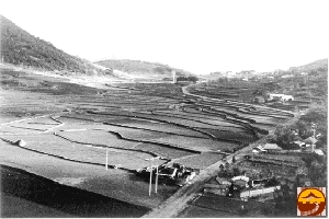 1960년대 삼산동 망북을 위에서 바라본 벌판의 모습