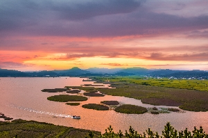 순천만