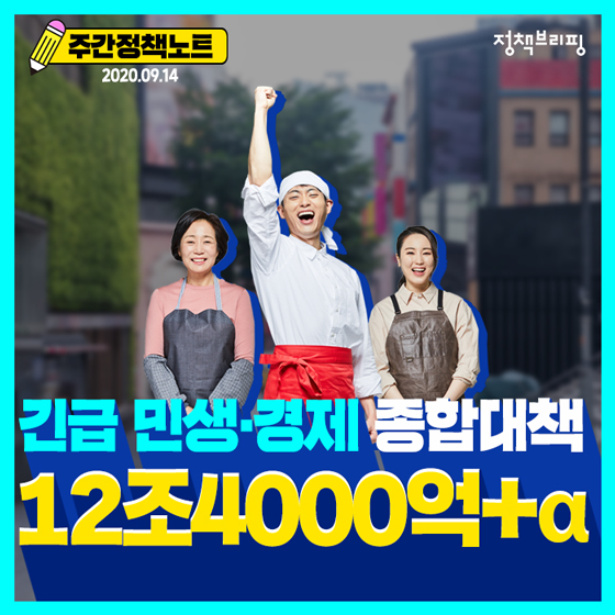 주간정책노트
2020.9.14.
긴급 민생.경제 종합대책
12조4000억+a