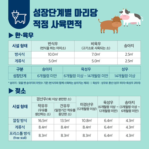 성장단게별 마리당 적정 사육면적
한.육우
젖소