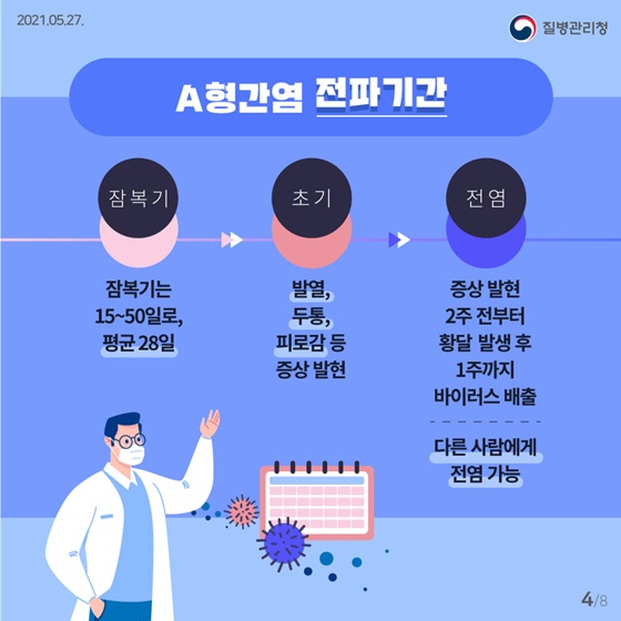 ▶A형간염 전파기간
잠복기 : 잠복기는 15~50일로, 평규 28일
초기 : 발열, 두통, 피로감 등 증상 발현
전염 : 증상 발현 2주 전부터 황달 발생 후 1주까지 바이러스 배출, 다른 사람에게 전염 가능 

[출처] 대한민국 정책브리핑(www.korea.kr)