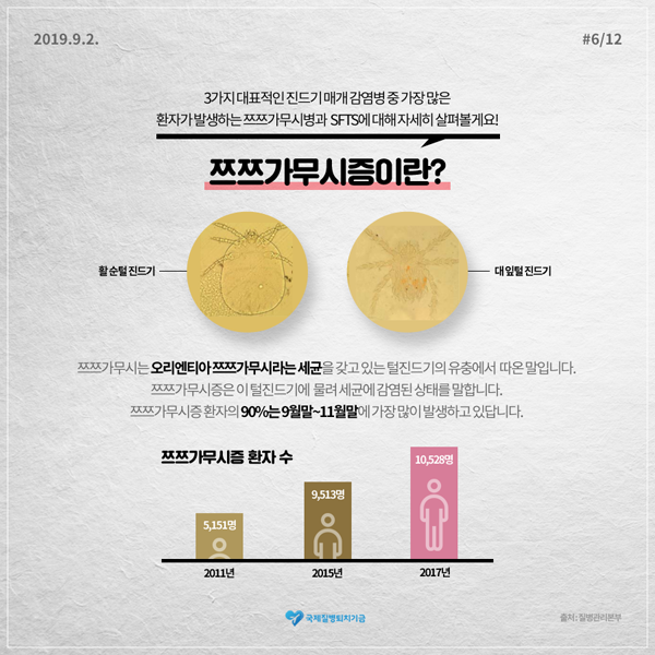 3가지 대표적인 진드기 매개감염병 중 가장 맣은 환자가 발생하는 쯔쯔가무시병과 SFTS에 대해 자세히 살표볼께요!
쯔쯔가무시증이란
쯔쯔가무시는 오리엔티아 쯔쯔가무시라는 세균을 갖고 있는 털진드리의 유충에서 따온 말입니다.