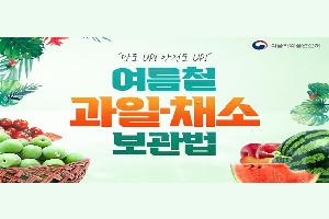 여름철 과일.채소 보관법