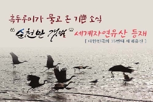 흑두루미가 물고온 기쁜 소식
"순천만 갯벌" 세계자연유산 등재
[대한민국의 15번째 세계유산]