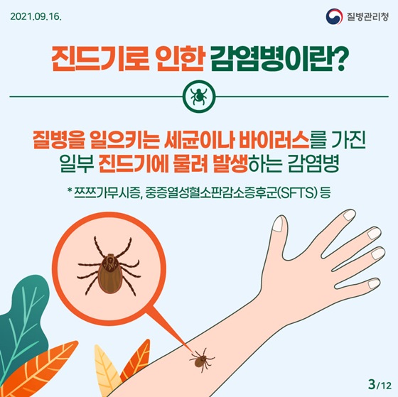 ◆ 진드기로 인한 감염병이란?
질병을 일으키는 세균이나 바이러스를 가진 일부 진드기에 물려 발생하는 감염병 
* 쯔쯔가무시증, 중증열성혈소판감소증후군(SFTS) 등