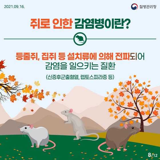 ◆ 쥐로 인한 감염병이란?
등줄쥐, 집쥐 등 설치류에 의해 전파되어 감염을 일으키는 질환(신증후군출혈열, 렙토스피라증 등)