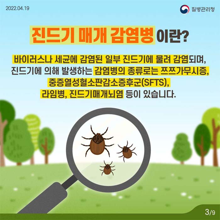 진드기 매개 감몀병 이란?
바이러스나 세균에 감염된 일부 진드기에 물려 감염되며, 진드기에 의해 발생하는 감염병의 종류로는 쯔쯔가무시증, 중증열성혈소판감소증후군(SFTS), 아림병, 진드기매개뇌업 등이 있습니다.