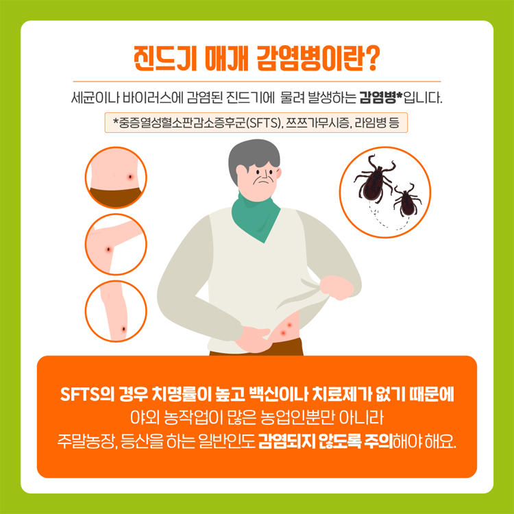 진드기 매개 감염병이란?
세균이나 바이러스에 감염된 진드기에 물려 발생하는 감염병 입니다.
*중증열성혈소판감소증후군(SFTS), 쯔쯔가무시증, 라임병 등