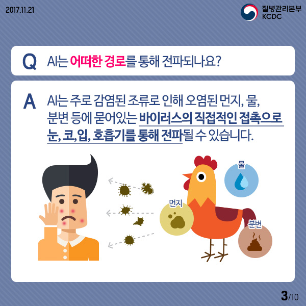 Q AI는 어떠한 경로를 통해 전파되나요?
A AI는 주로 감염된 조류로 인해 오염된 먼지, 물, 분변 등에 묻어있는 바이러스의 직접적인 접족으로 눈,코,입,호흡기를 통해 전파 될 수 있습니다.