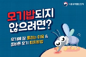 모기밥 되지
않으려면?
모기에 잘 물리는 이유 &
올바른 모기 퇴치방법