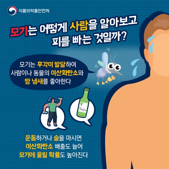 모기밥 되지
않으려면?
모기에 잘 물리는 이유 &
올바른 모기 퇴치방법