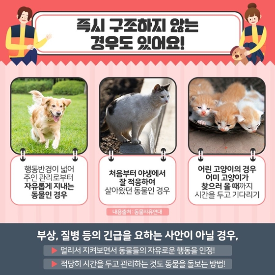 길에 버려진 유기동물을 발견했다면?
보호하개
신고했냥