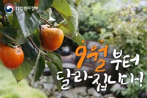 [정책달력] 
9월부터 달라집니다.