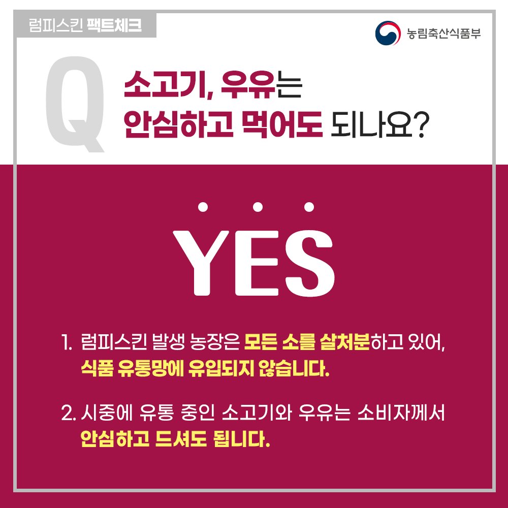 럼피스킨병 팩트체크
Q 소고기, 우유는 안심하고 먹어도 되나요?
YES
1. 럼피스킨병 발생 농장은 모든 소를 살처분하고 있어, 식품 유통망에 유입되지 않습니다.
2. 시중에 유통 중인 소고기와 우유는 소비자께서 안심하고 드셔도 됩니다.