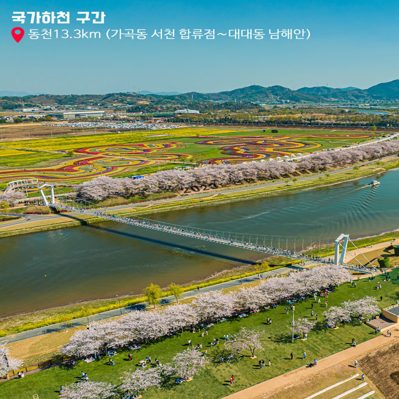 국가하천 구간
동천 13.3km(가곡동 서천 합류점~대대동 남해안)