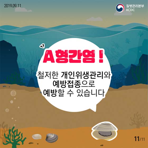 조개젓에서 A형간염 바이러스가!? A형간염 예방수칙 