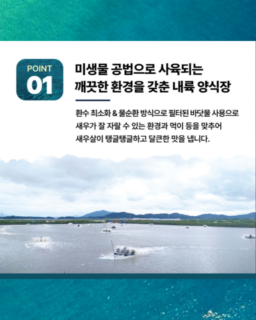 「순천로컬푸드 별량 활새우 사전예약」 안내 