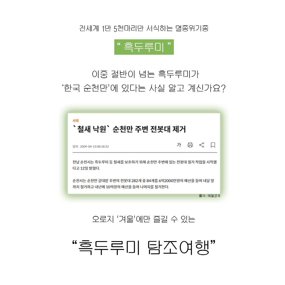 전세계 1만 5천마리만 서식하는 멸종위기종 흑두루미
이중 절반이 넘는 흑두루미가 한국 순천만에 있다는 사실 알고 계신가요
철새 낙원 순천만 주변 전봇대 제거
입력 2009-04-13 08 18 22
전남 순천시는 흑두루미 등 철새를 보호하기 위해 순천만 주변에 있는 전봇대 철거 작업을 시작했다고 12일 밝혔다
순천시는 순천만 갈대밭 주변의 전봇대 282개 중 84개를 6억2000만원의 예산을 들여 내달 말까지 철거하고 내년에 10억원의 예산을 들여 나머지를 철거한다
오로지 겨울에만 즐길 수 있는 흑두루미 탐조여행