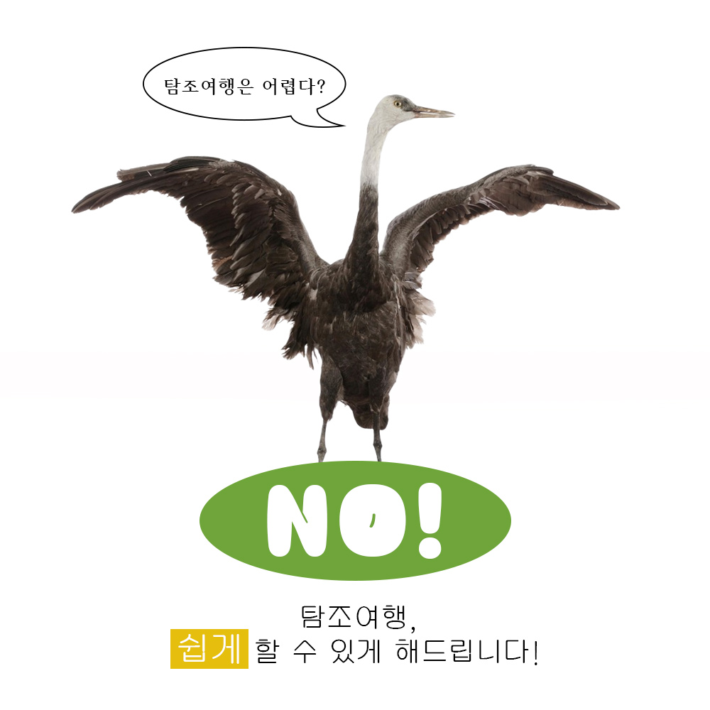 탐조여행은 어렵다
NO
탐조여행, 쉽게 할 수 있게 해드립니다