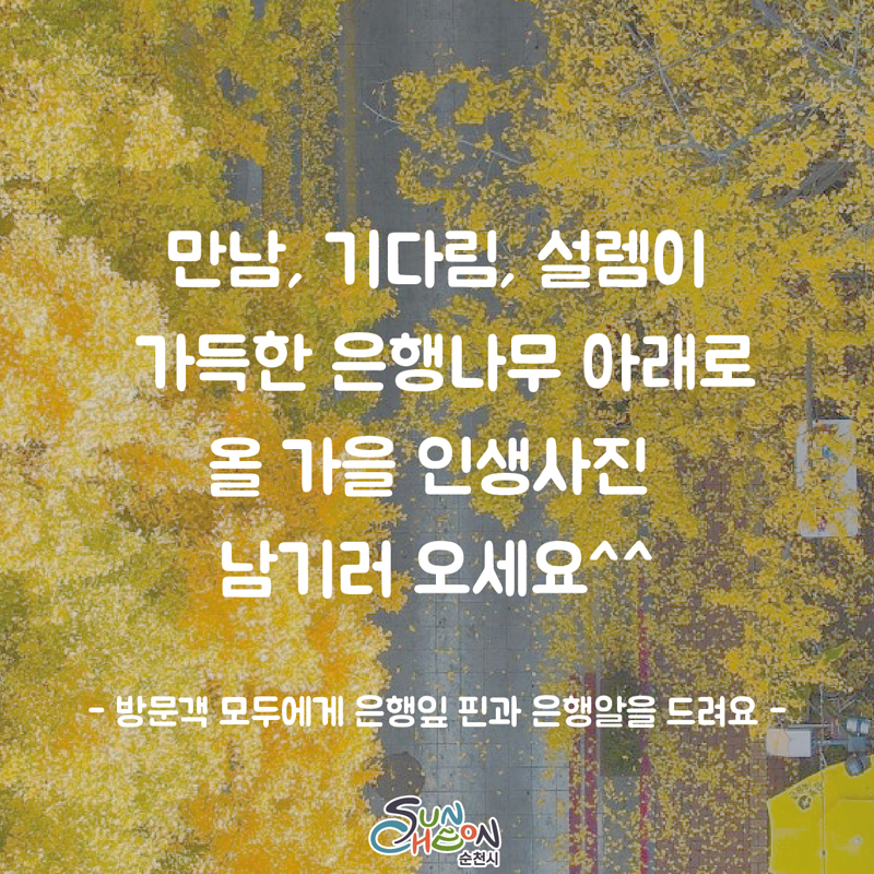 만남, 기다림, 설레이 가득한 은행나무 아래로 올 가을 인생사진 남기러 오세요
방문객 모두에게 은행잎 핀과 은행알을 드려요