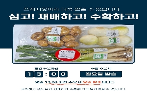 [농축산물] 유기농 채소 모듬 boardEdit37