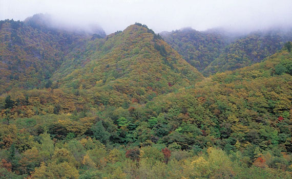 조계산도립공원