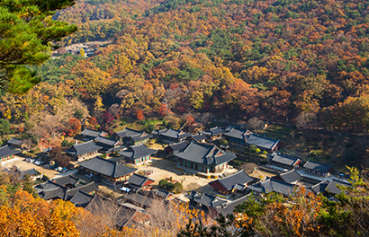 순천만 갯벌 사진