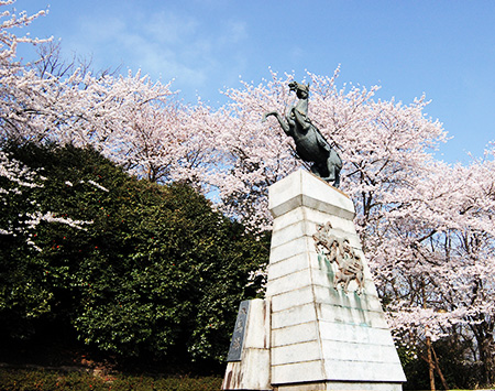 죽도봉공원