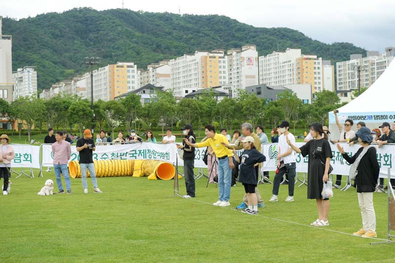 어질리티 대회에 참여 중인 노관규 시장과 시민들