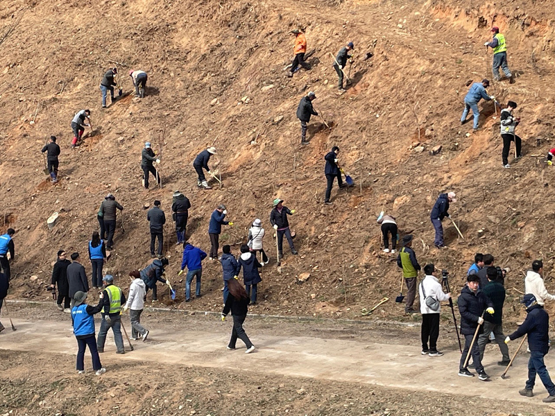 순천시, 제79회 식목일 기념 나무심기 실시